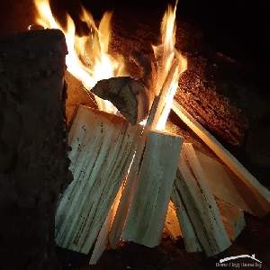 Дядо Петковата къща, Елена