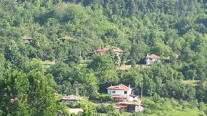 Дядо Петковата къща, Елена