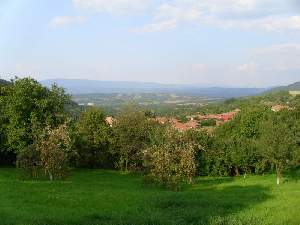 Дядо Петковата къща, Елена