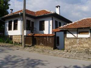 Дядо Петковата къща, Елена