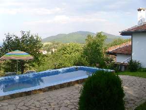 Дядо Петковата къща, Елена