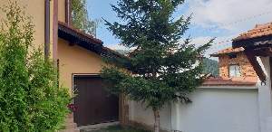 Ашковата къща, Говедарци