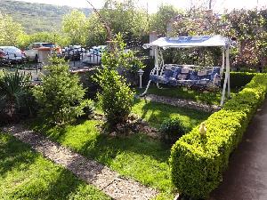 Garden 2