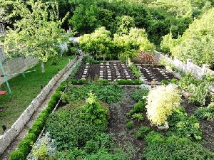 Vegetable garden (1)