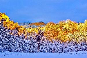 Панорама