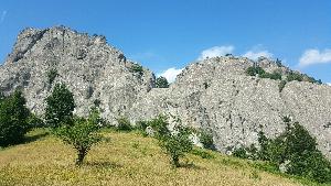 Виолетина поляна