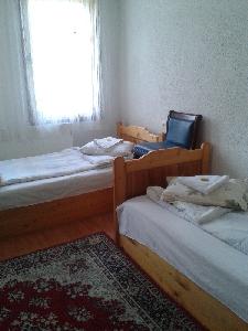 Стаи
