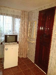 хладилник и телевизор 