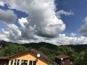 вили