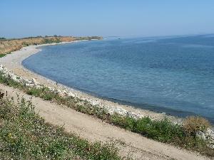Къща за гости Феникс, Шабла