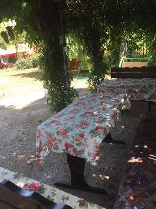Jacky's House, Черноморец