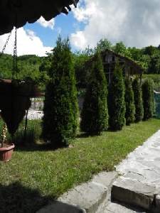 Къща за гости Драгия, Чифлик