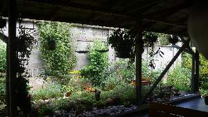 Вила Климат, Варна