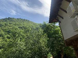 Пачовата къща, Оплетня