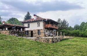 Симановата къща, Илаков рът, Елена